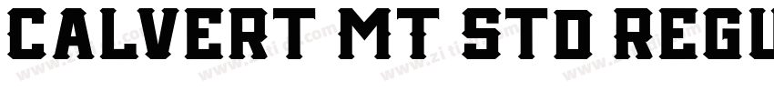 Calvert MT Std Regul字体转换